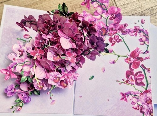 Pink purple orchids flowers - pink,,