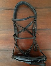 Albion KB XFull Horse Padded