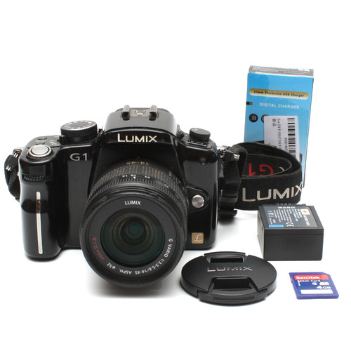 Panasonic lumix mirrorless - panasonic, g1