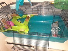Hamster Mouse Gerbil Pet Cage (Free Collection)