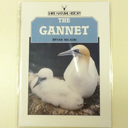 New the gannet - new,