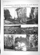 Old Antique Print 1910 Forest