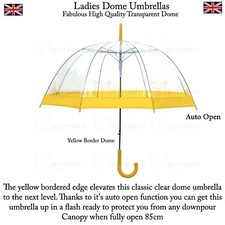 Ladies Birdcage Clear Dome