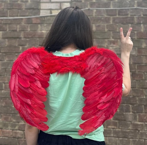 Red fairy angel wings - fairy,