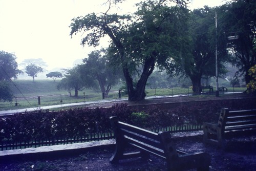 C1970 35mm slide - 35mm, park
