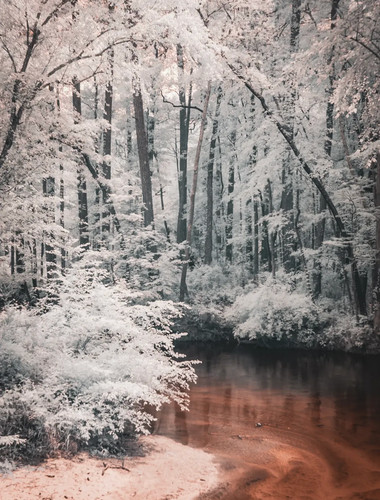 Infrared converted nikon d70 - nikon,