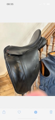 Albion slk dressage - 17,
