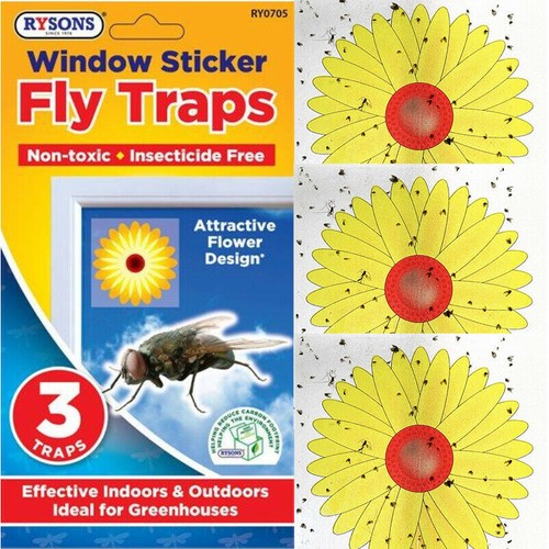 Fly stickers window traps - window,