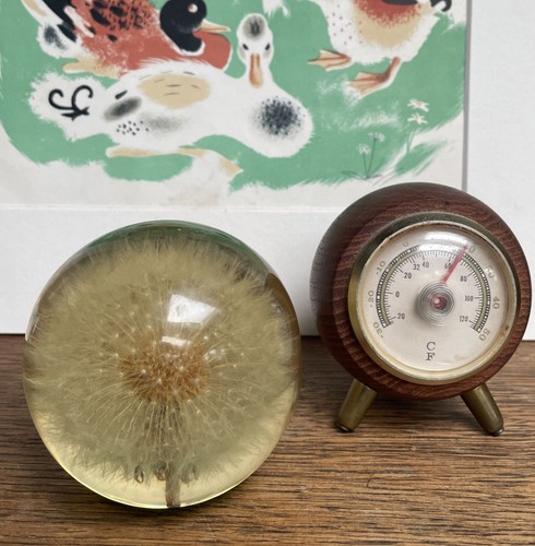 Vintage resin dandelion clock - dandelion,