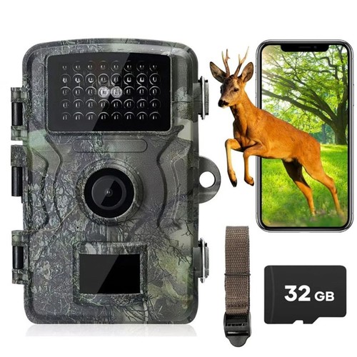 Wildlife trail camera - trail,