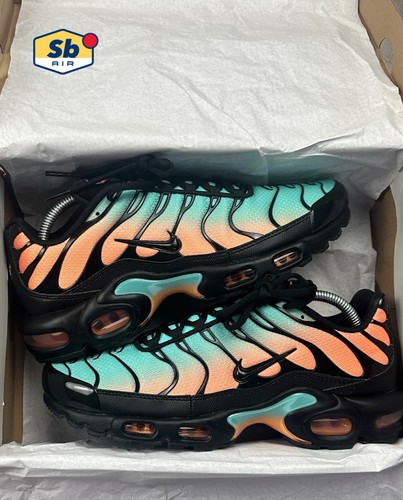Nike air max plus - max, south