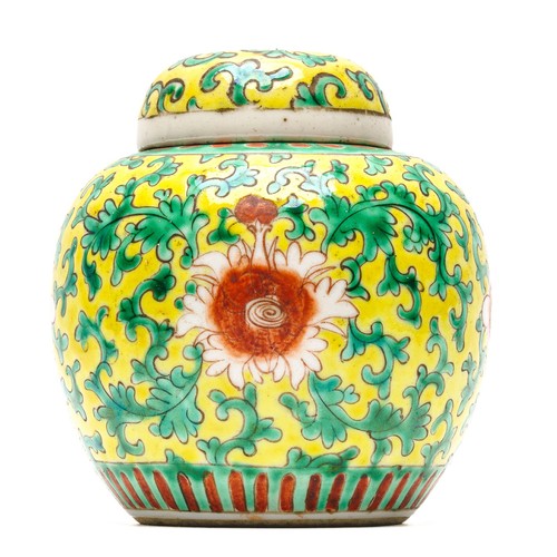 Chinese porcelain ginger jar - ginger,