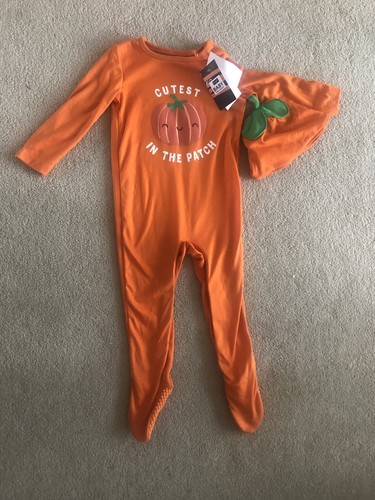 Cutest pumpkin in - cutest, the