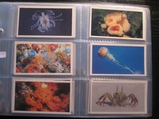 PLAYERS GRANDEE FULL SET IN SLEEVES - THE LIVING OCEAN (1985)