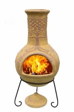 Derwyn The Tree Mustard