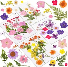 46 Pcs Dried Pressed Flowers