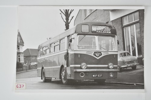 Southdown bus tiger - southdown, cub