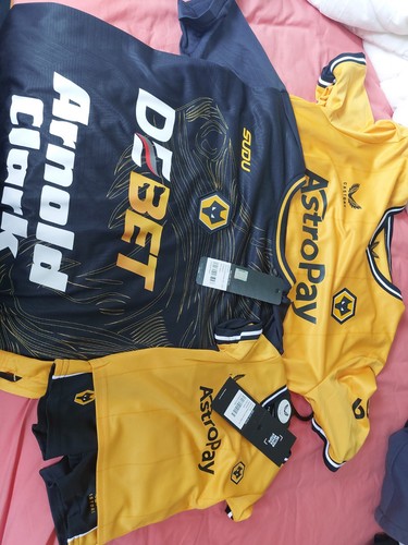 Wolverhampton wanderers - wolverhampton,