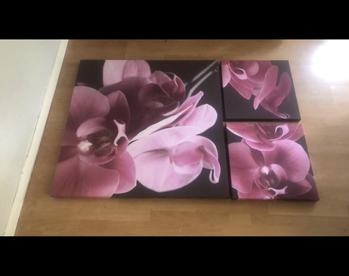 Purple orchid triptych - , canvas