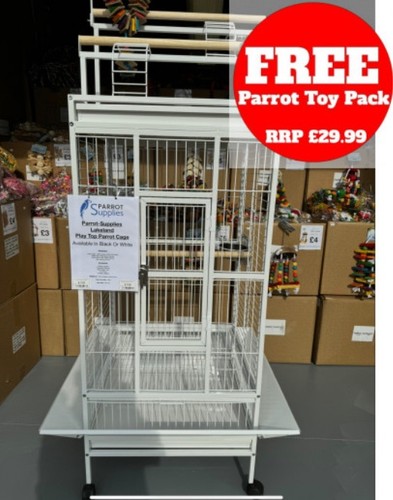 Parrot supplies lakeland play - lakeland,