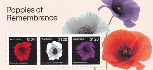 2023 australia poppies - australia, of