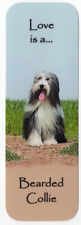 BEARDED COLLIE DOG BEAUTIFUL