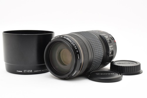 Canon 300mm 5 - canon, 70-300mm