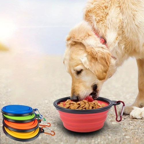 Pack collapsible dog cat - pack, pet