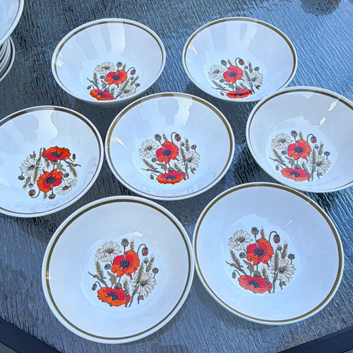 Meakin ironstone floral - ironstone,