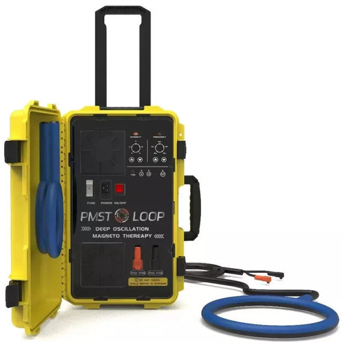 Equine pemf device - equine, loop