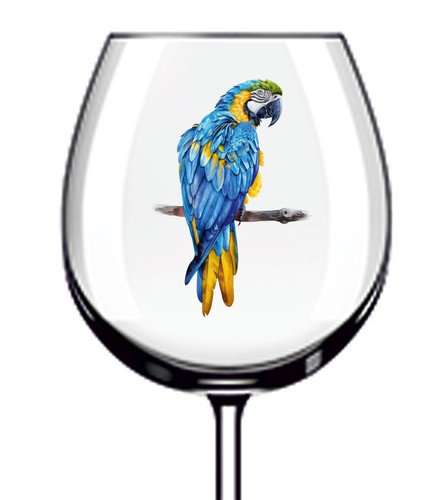 12x blue gold macaw parrot - 12x,