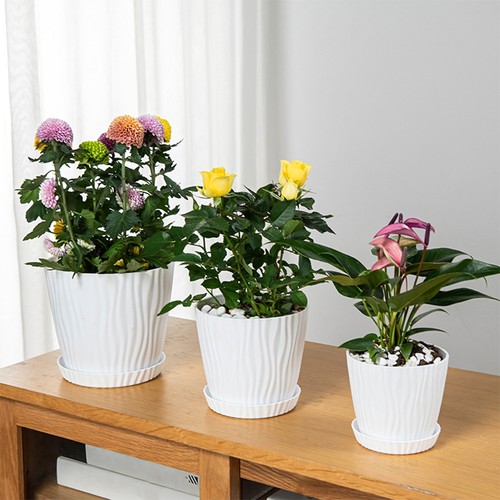 Plastic plant pots - 3-6x,