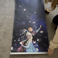 Velux Disney Frozen black out
