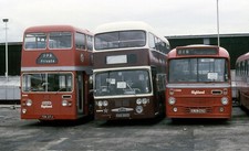 highland omnibuses three