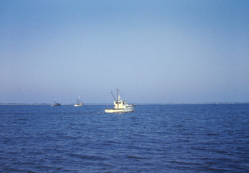 Kodak slide 35mm 1950s - kodak, red