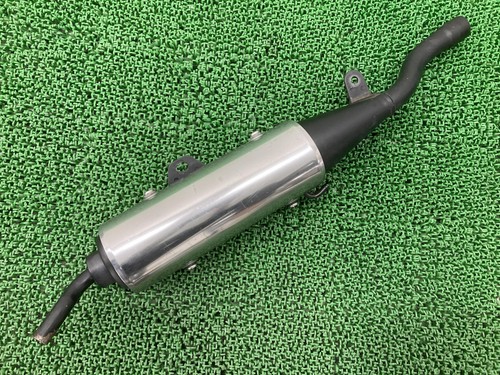 Genuine yamaha tdr50 silencer - genuine,
