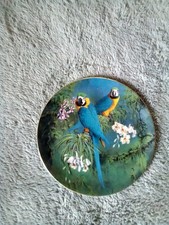 WEDGEWOOD-BLUE & YELLOW