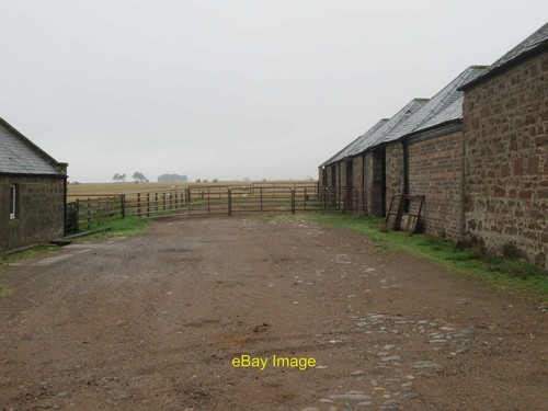 Photo 12x8 cattle - photo, cattle-handling