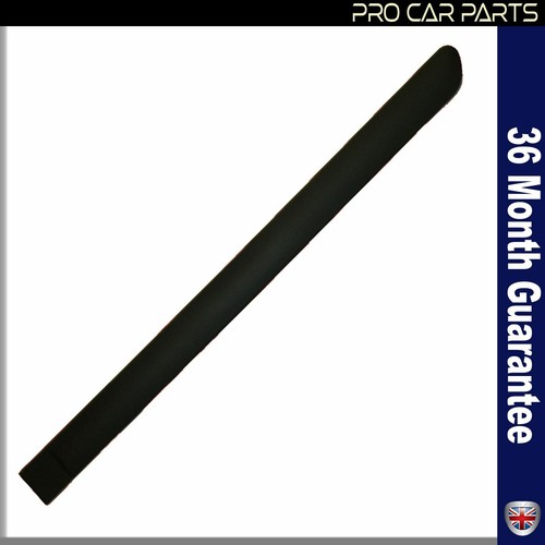 Door panel trim moulding - door,