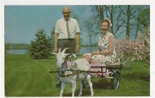 Goat Cart, Great Oak Lodge, Chestertown, Maryland, USA Postcard #2, B340