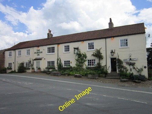 Photo 6x4 the durham - 6x4, ox