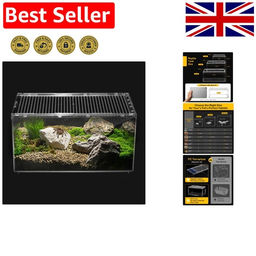 Reptile terrarium tarantula - reptile, terrarium,tarantula