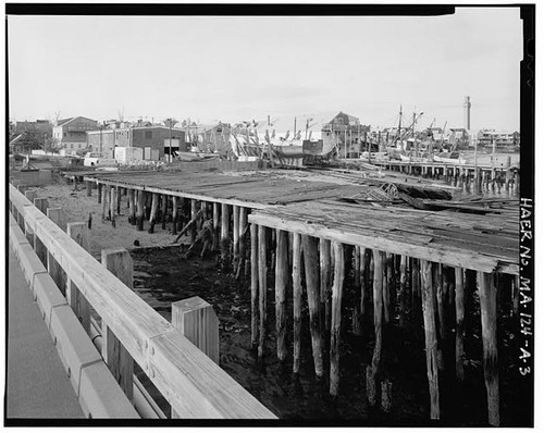 Cape cod cold - cape,