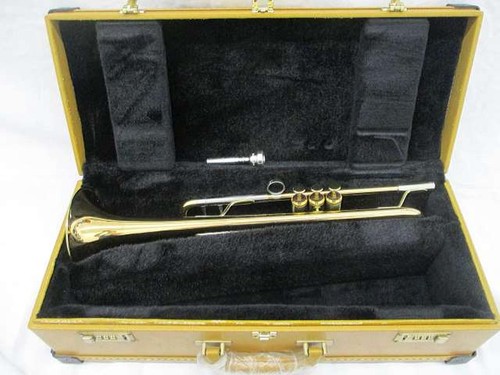 Trumpet in hard - xo,