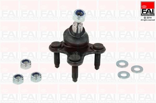 Fai front right - fai, joint