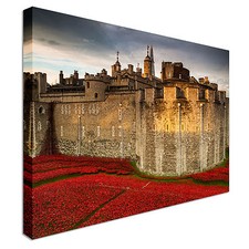 Tower of London Poppy Display