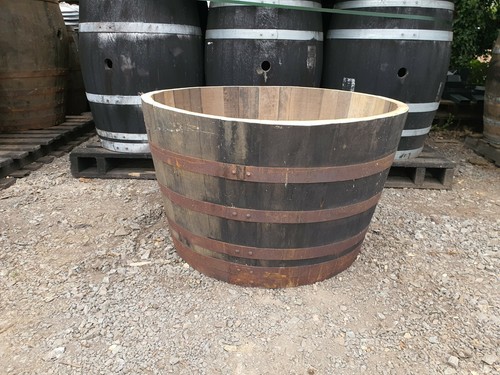 Extra large 60cm - extra, tall
