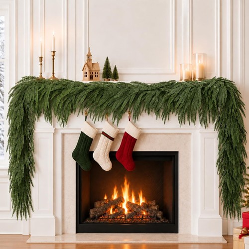 9ft norfolk pine - norfolk,
