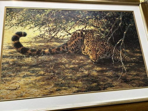 Wildlife art leopard - wildlife, guy