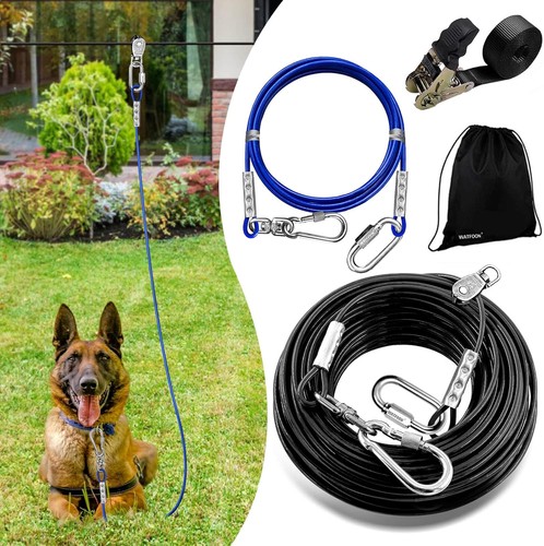Dog tie out - out, cable